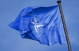 В США раскрыли планы НАТО в отношении России