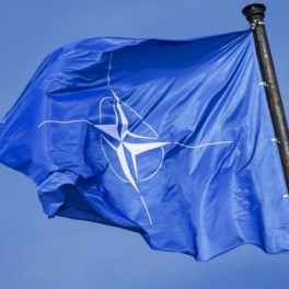 Постпред США: НАТО не считает себя участником украинского конфликта