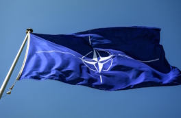 Nikkei Asia: НАТО собирается подготовить документ о расширении сотрудничества с 4 странами АТР