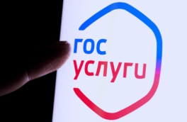 На "Госуслугах" запустили более 180 региональных сервисов "Жизненные ситуации"