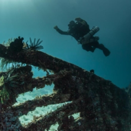 Затонувшее 3300 лет назад судно найдено на дне Средиземного моря