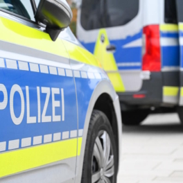 СМИ: сотрудники полиции ФРГ тайно вывозят нелегалов в Польшу