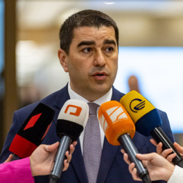 Спикер парламента Грузии подписал закон об иноагентах