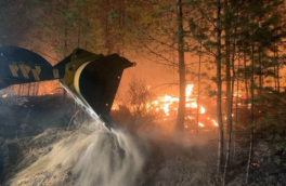 Интенсивность лесных пожаров в Центральной Сибири достигла пика за 10 тыс. лет