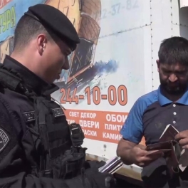 В Санкт-Петербурге полиция задержала почти 50 мигрантов на оптовых рынках