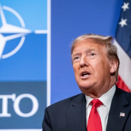 "Радикальная переориентация": в США спрогнозировали судьбу НАТО при Трампе