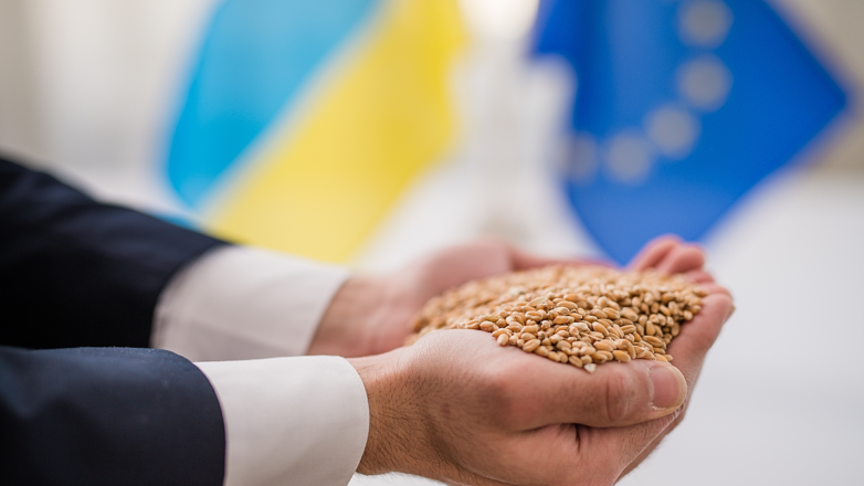 Масло и зерно вместо железа и руды: как изменился украинский экспорт из-за СВО