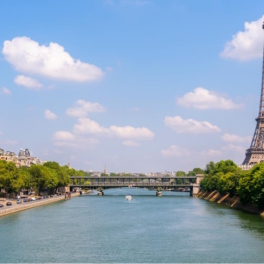 Уровень загрязнения Сены превышал критический порог, когда в реке купалась мэр Парижа
