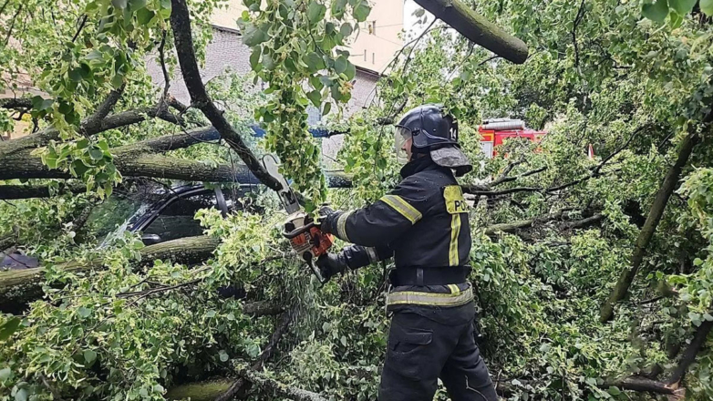 Сотрудник МЧС во время ликвидации последствий урагана в Санкт-Петербурге