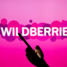 Компания "РВБ" примет на себя обязательства перед партнерами Wildberries в ближайшее время