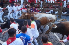 В Испании шесть человек пострадали после забега с быками