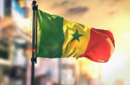 МИД Сенегала вызвал украинского посла, поддержавшего террористов в Мали