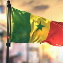 МИД Сенегала вызвал украинского посла, поддержавшего террористов в Мали