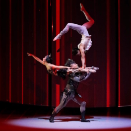 Известная акробатическая труппа из Гуанчжоу покажет захватывающий шоу-балет "Лебединое озеро"