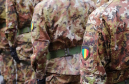 Лавров: Россия будет помогать армии Мали в повышении боеспособности