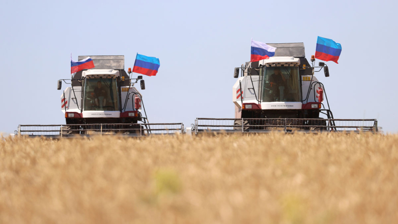 Чем пополнился "всероссийский амбар" после присоединения Крыма и четырех новых регионов