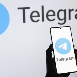 В МВД предупредили о распространении вируса Mamont в мессенджере Telegram