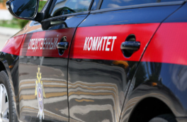 Задержан мужчина, напавший на ребенка в аэропорту Шереметьево