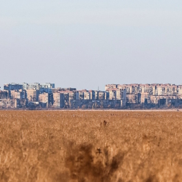 В Раде заявили о поражении всей Украины после потери ВСУ Угледара