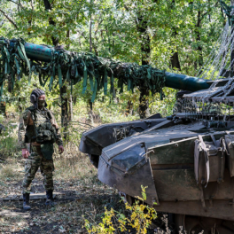 Российские войска освободили Гродовку в ДНР