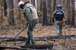 В Курской области обезвредили более 50 суббоеприпасов кассетной ракеты, выпущенной из РСЗО HIMARS