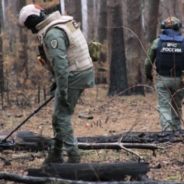 В Курской области обезвредили более 50 суббоеприпасов кассетной ракеты, выпущенной из РСЗО HIMARS