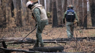 В Курской области обезвредили более 50 суббоеприпасов кассетной ракеты, выпущенной из РСЗО HIMARS