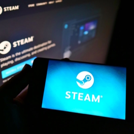 В Госдуме заявили, что Роскомнадзор не вмешивался в работу Steam