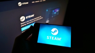 В Госдуме заявили, что Роскомнадзор не вмешивался в работу Steam