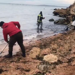 На побережье Керчи собрали более 700 килограммов мазута