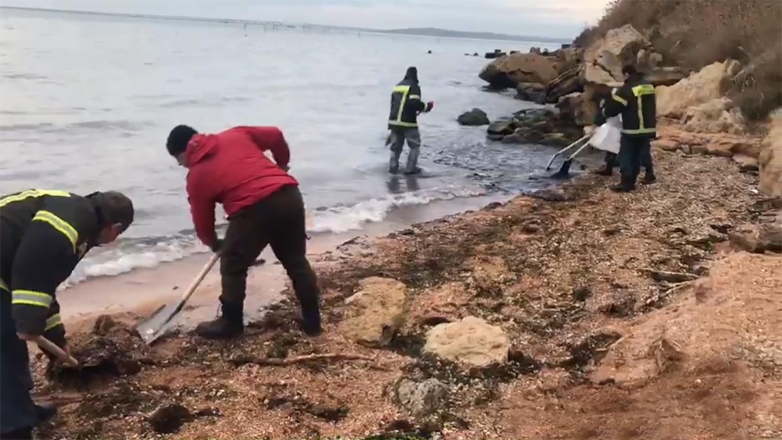 Уборка побережья и акватории моря