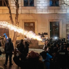 Протестующие в Тбилиси повредили 48 комнат парламента