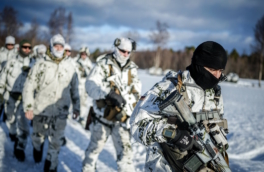 Россия обеспокоена военной активностью НАТО в арктической части Новергии