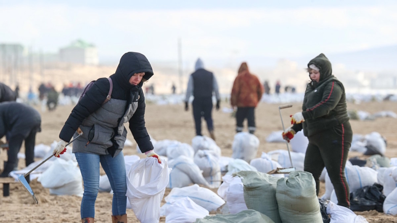 Волонтеры во время сбора разлитого мазута на пляже у села Витязево