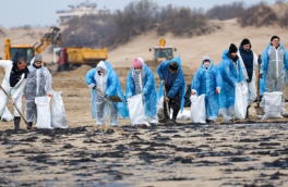 Глава МЧС: сплошного загрязнения побережья Чёрного моря нет, пляжный сезон не под вопросом