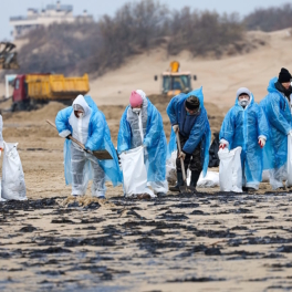 Глава МЧС: сплошного загрязнения побережья Чёрного моря нет, пляжный сезон не под вопросом