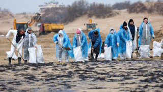 Глава МЧС: сплошного загрязнения побережья Чёрного моря нет, пляжный сезон не под вопросом