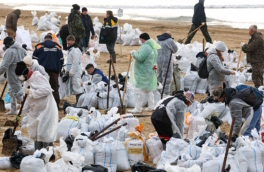 Глава МЧС: в районе загрязнения побережья Чёрного моря на Кубани выполнено всего 15% работ