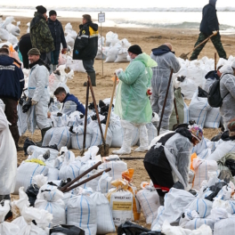 Глава МЧС: в районе загрязнения побережья Чёрного моря на Кубани выполнено всего 15% работ