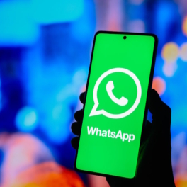 В Госдуме заявили, что информации о готовящейся блокировке WhatsApp нет