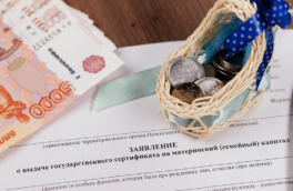 Заявления на маткапитал будут рассматривать быстрее