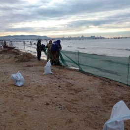 На Кубани протестируют новые способы очистки моря и пляжей от мазута