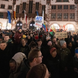 Порядка 9 тыс. человек вышли на акцию протеста против АдГ под Франкфуртом-на-Майне