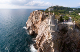 Кошка Муся, сброшенная с замка "Ласточкино гнездо" в Крыму, найдена живой