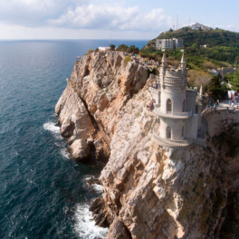 Кошка Муся, сброшенная с замка "Ласточкино гнездо" в Крыму, найдена живой