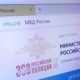 На сайте МВД России появился реестр контролируемых лиц