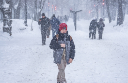 Когда в Центральную Россию придет настоящая зима, рассказал синоптик