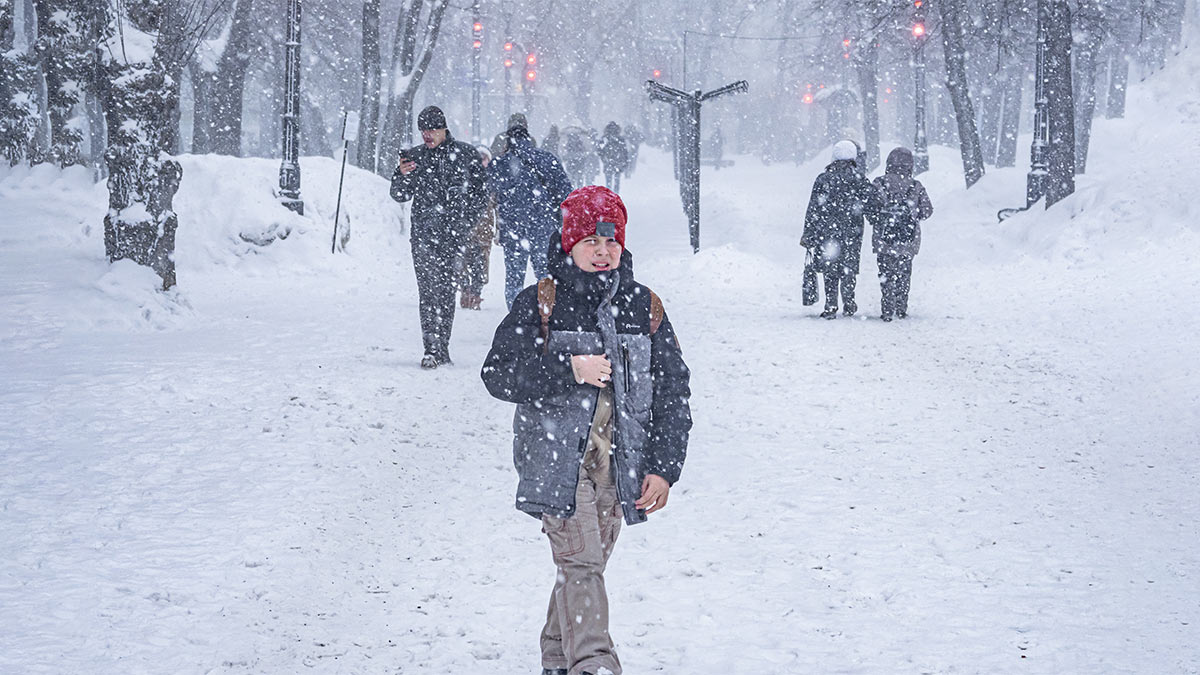 Снегопад в городе