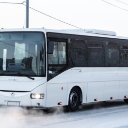 В Санкт-Петербурге запустили рейсовый автобус до Мариуполя