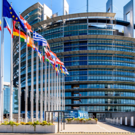 Европарламент предлагает ЕС использовать замороженные российские активы для финансирования кредита Украине